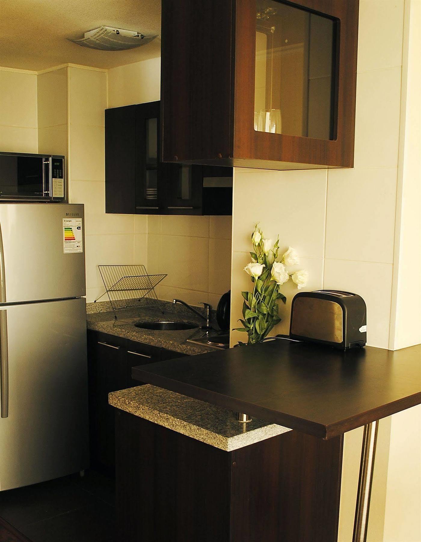 Santiago Furnished Apartments Экстерьер фото